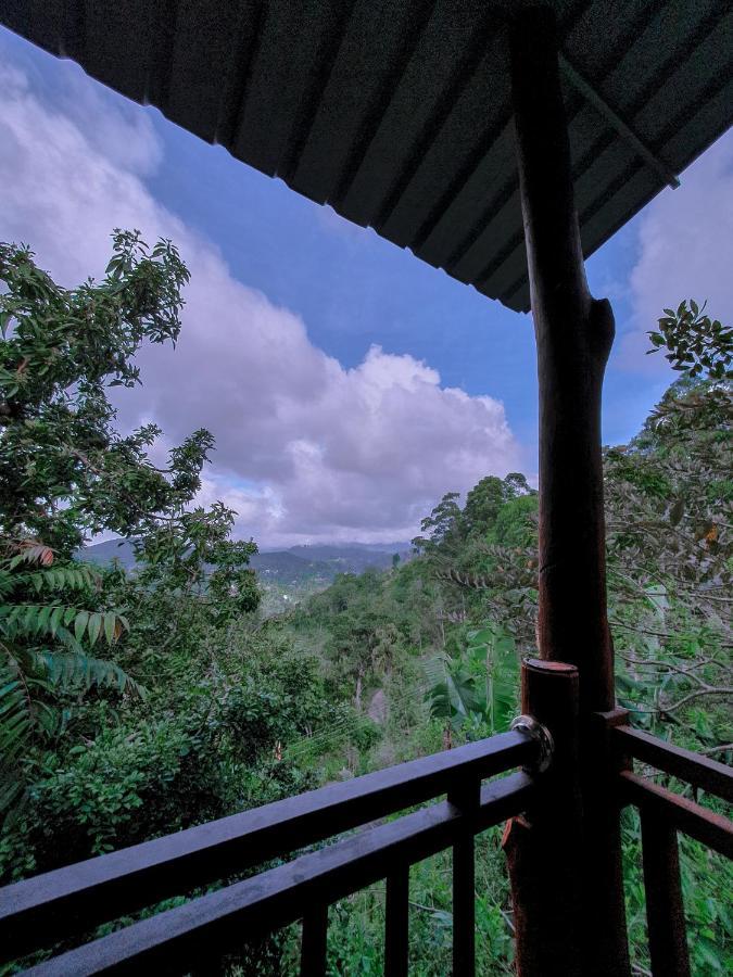 Serene Homestay Ella Bagian luar foto
