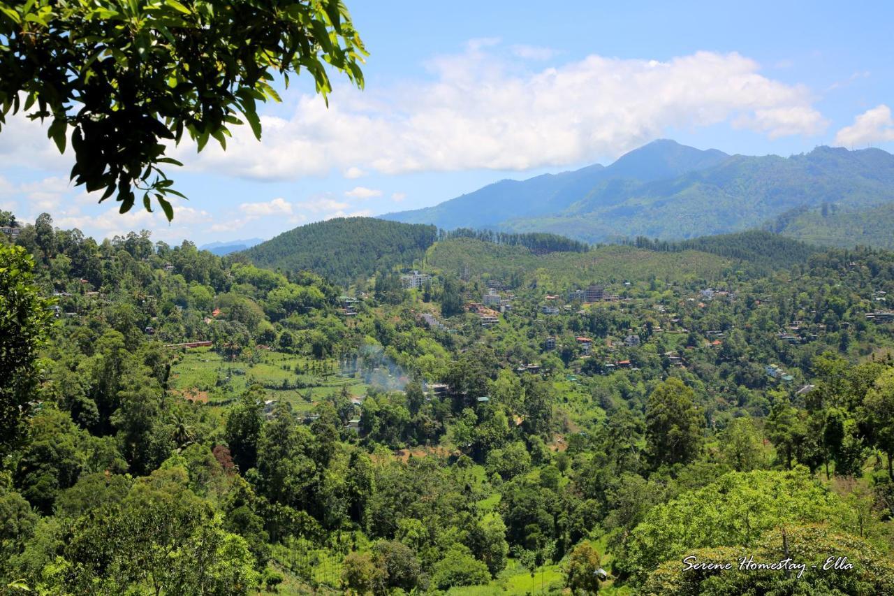 Serene Homestay Ella Bagian luar foto