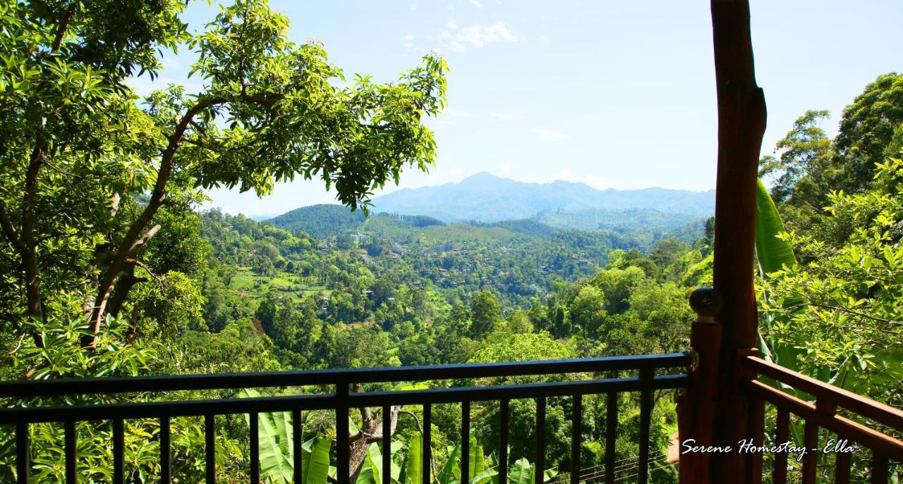 Serene Homestay Ella Bagian luar foto