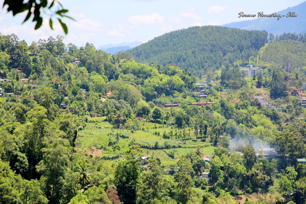 Serene Homestay Ella Bagian luar foto