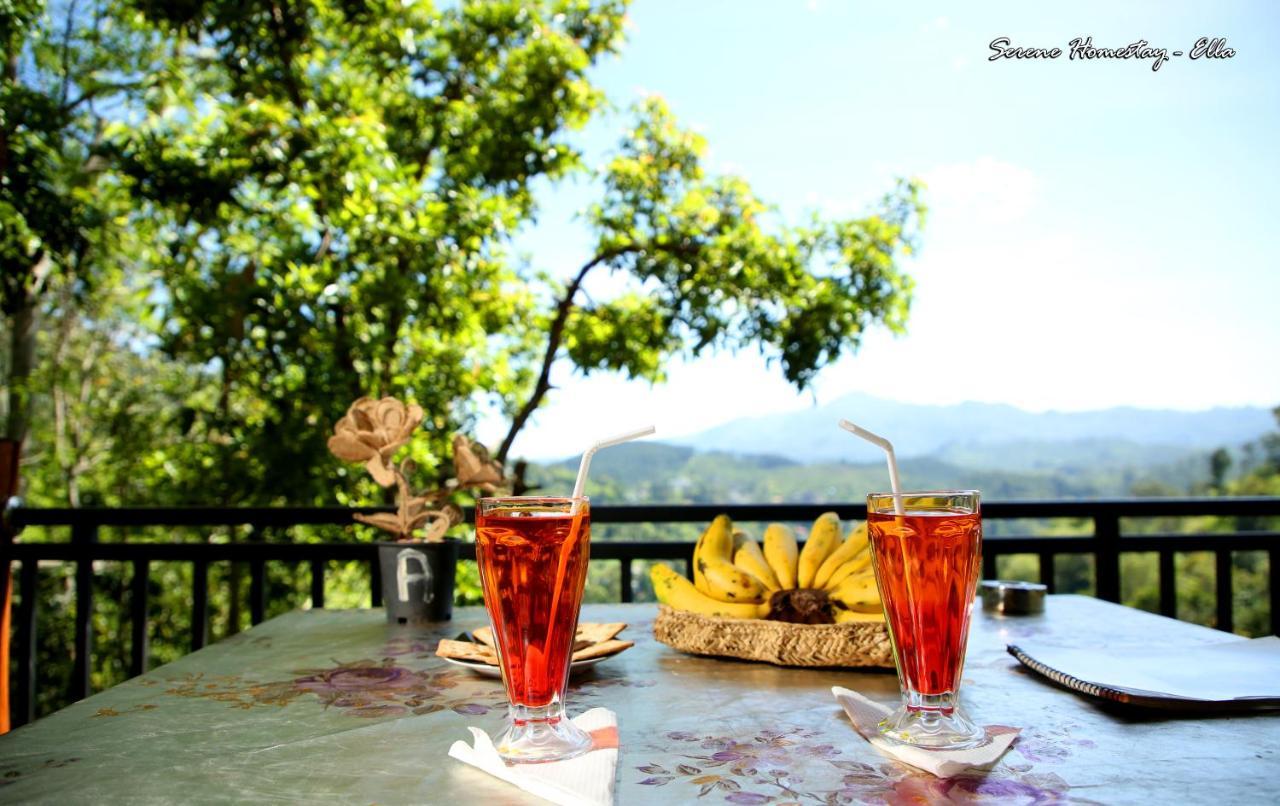 Serene Homestay Ella Bagian luar foto
