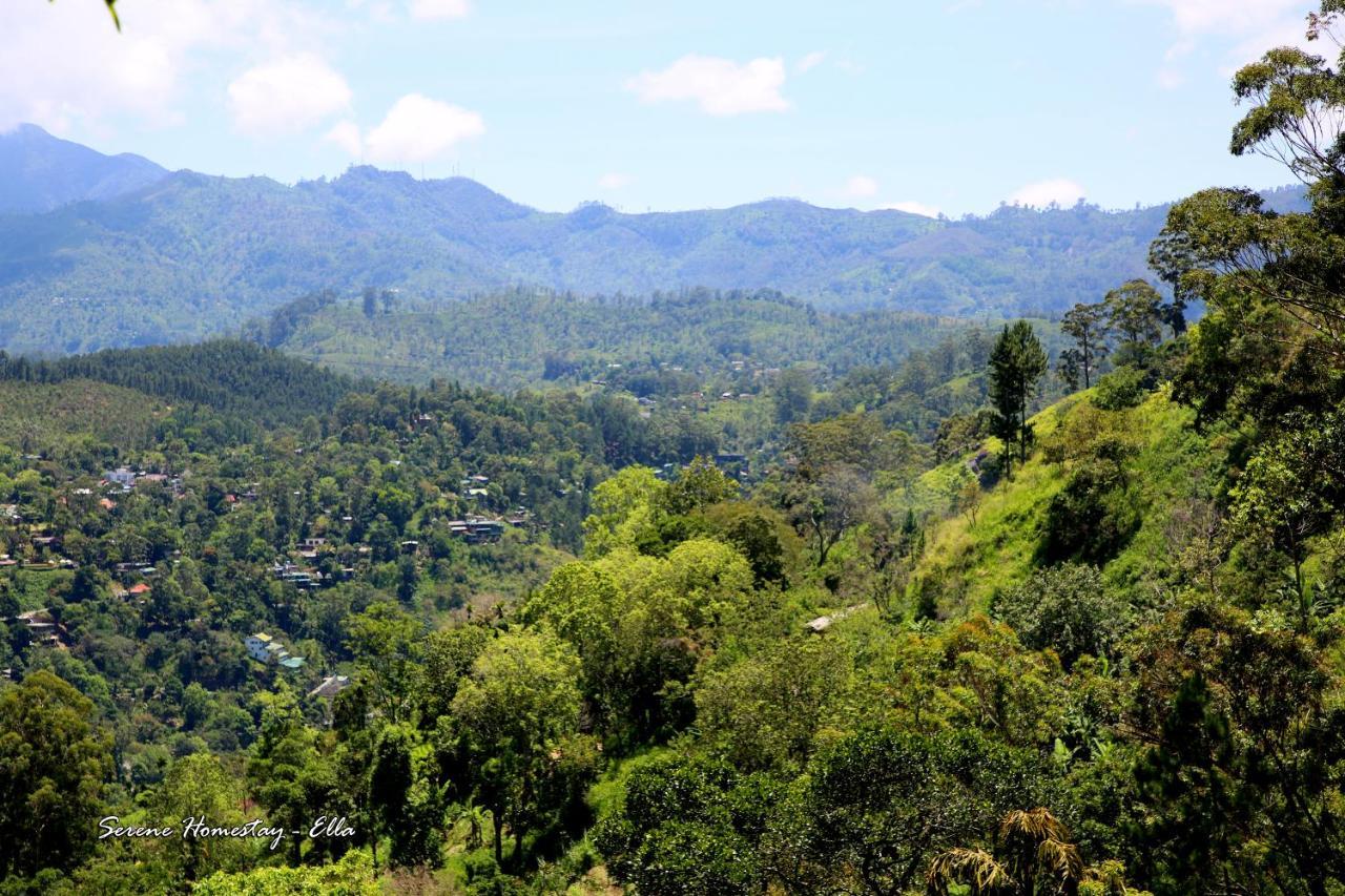 Serene Homestay Ella Bagian luar foto