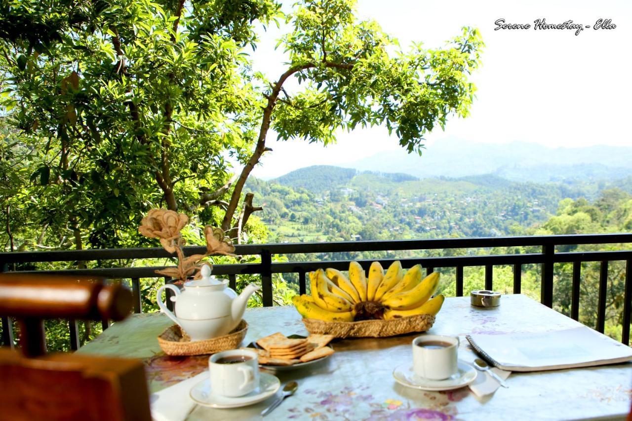 Serene Homestay Ella Bagian luar foto