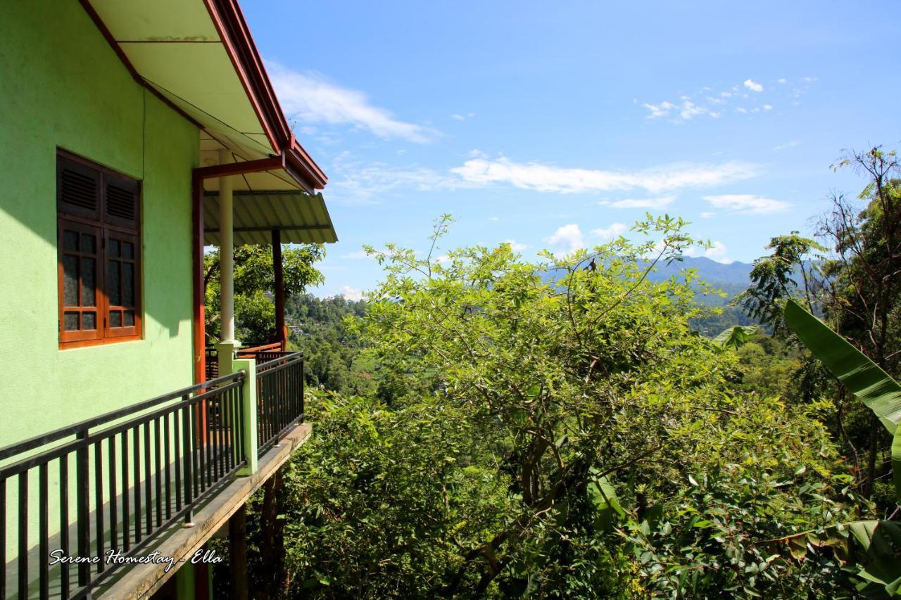 Serene Homestay Ella Bagian luar foto