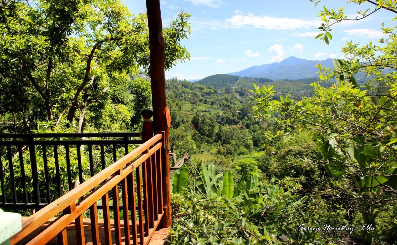 Serene Homestay Ella Bagian luar foto