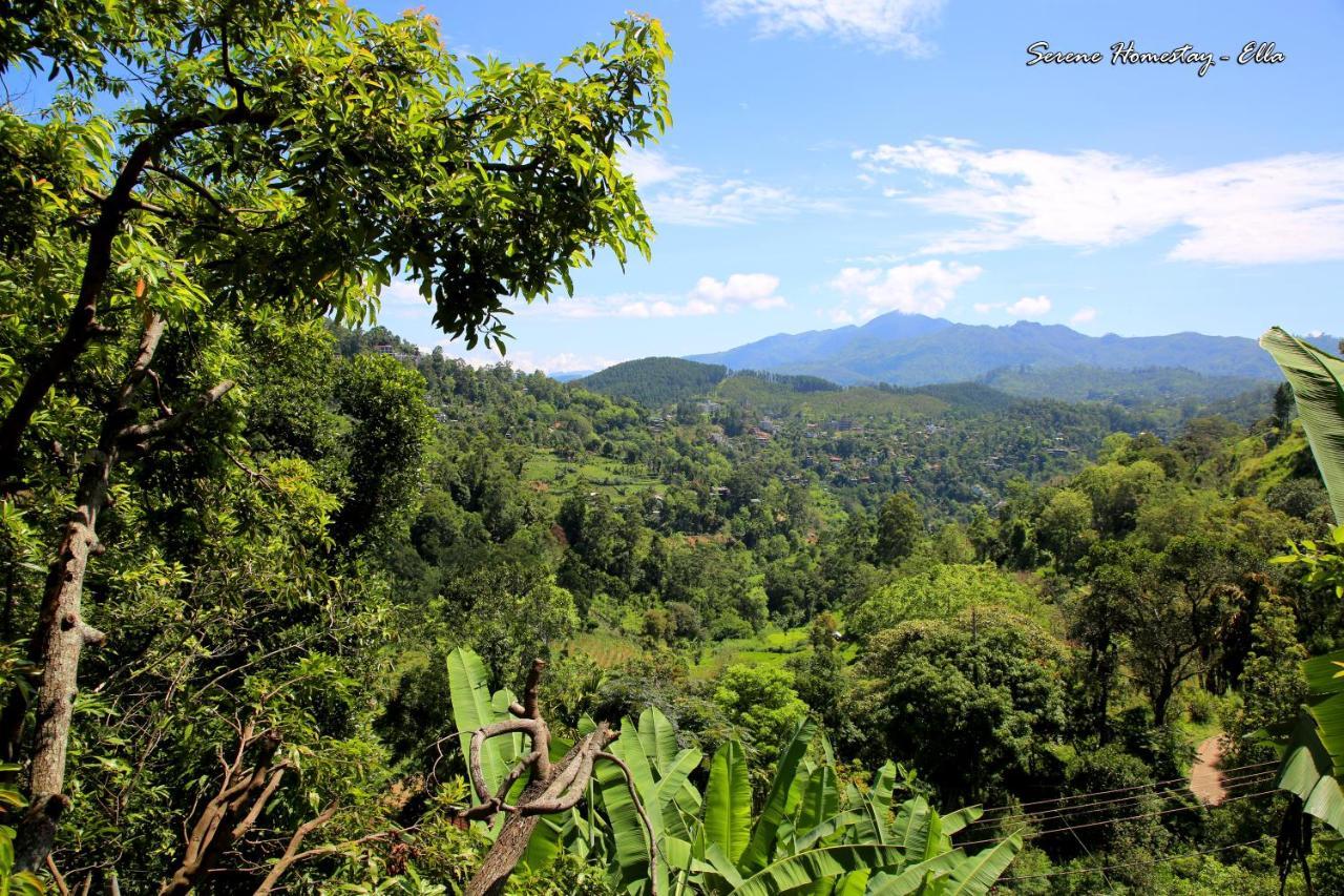 Serene Homestay Ella Bagian luar foto