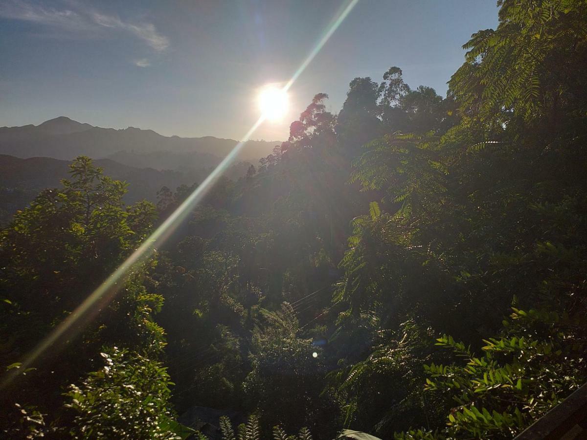 Serene Homestay Ella Bagian luar foto