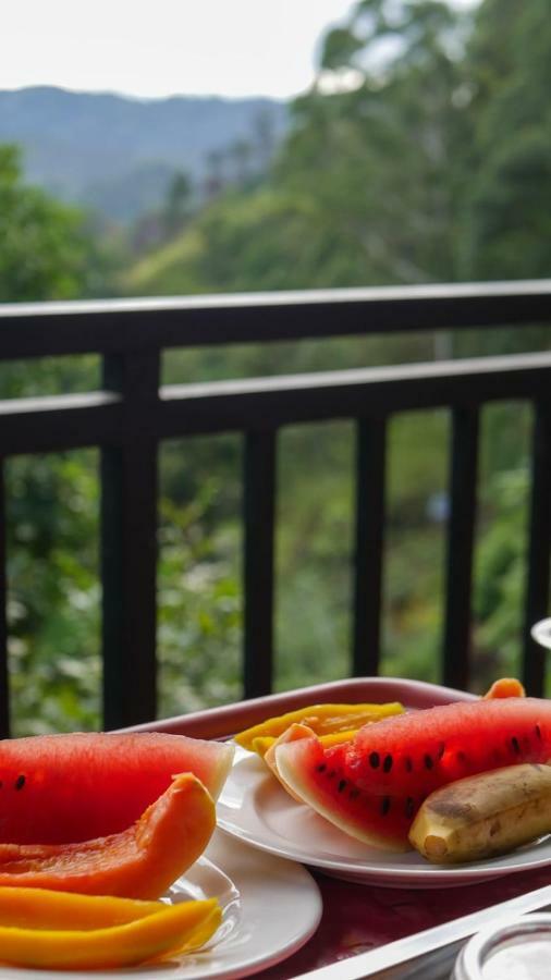 Serene Homestay Ella Bagian luar foto